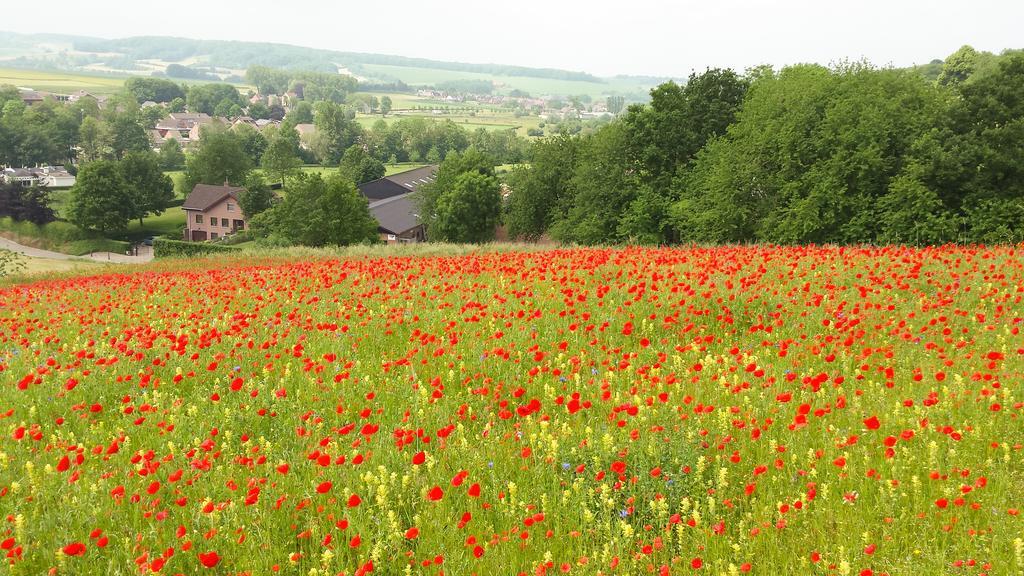 Belle - Mooi Zuid Limburg Villa Simpelveld Eksteriør bilde